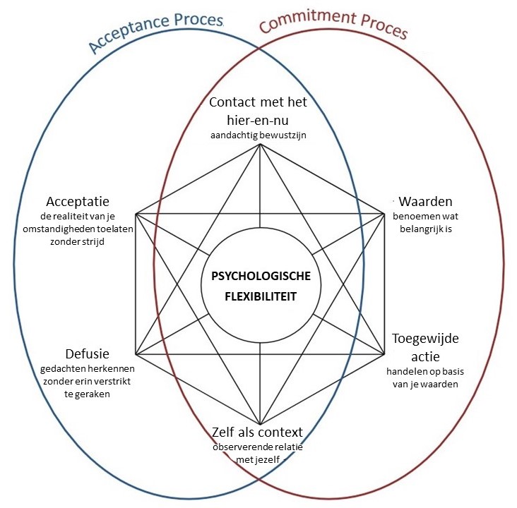 Psychomotorische therapie